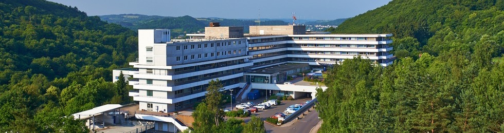Palliativsiegel